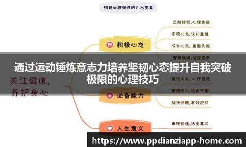 pp电子