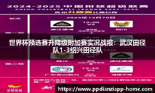 pp电子官网